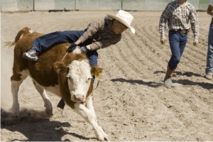 Calf Riding